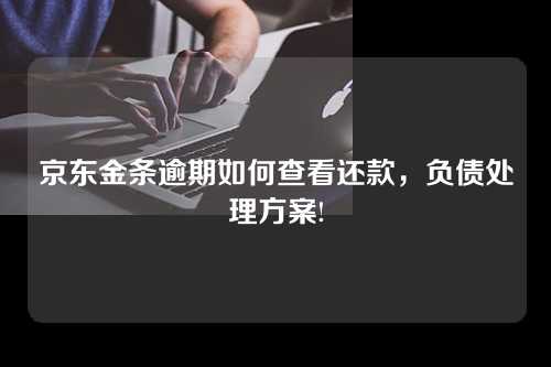 京东金条逾期如何查看还款，负债处理方案!