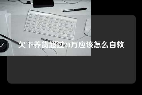 欠下养贷超过20万应该怎么自救