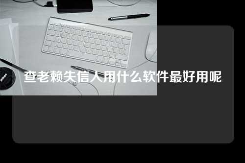 查老赖失信人用什么软件最好用呢