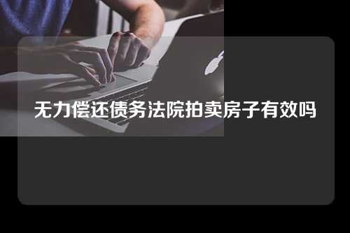 无力偿还债务法院拍卖房子有效吗