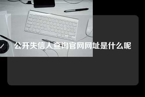 公开失信人查询官网网址是什么呢