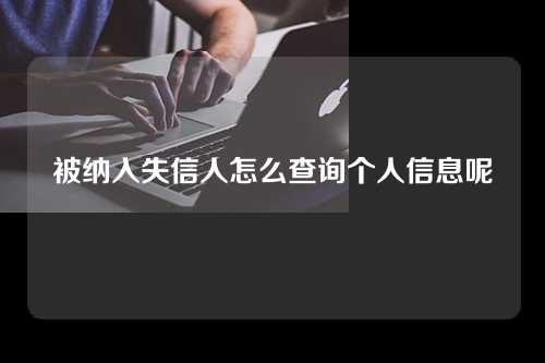 被纳入失信人怎么查询个人信息呢