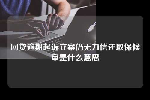 网贷逾期起诉立案仍无力偿还取保候审是什么意思