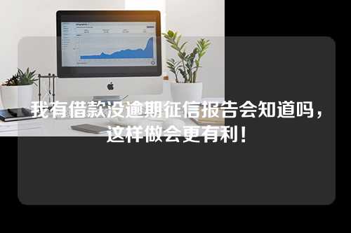 我有借款没逾期征信报告会知道吗，这样做会更有利！