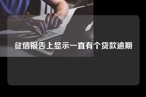 征信报告上显示一直有个贷款逾期