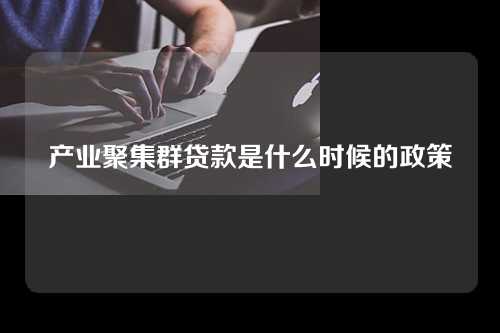 产业聚集群贷款是什么时候的政策