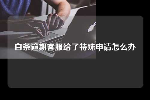 白条逾期客服给了特殊申请怎么办