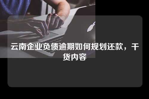 云南企业负债逾期如何规划还款，干货内容