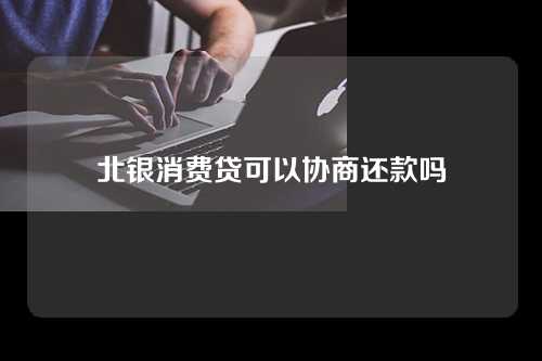 北银消费贷可以协商还款吗