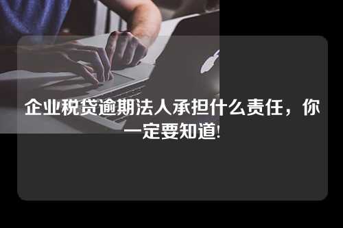 企业税贷逾期法人承担什么责任，你一定要知道!