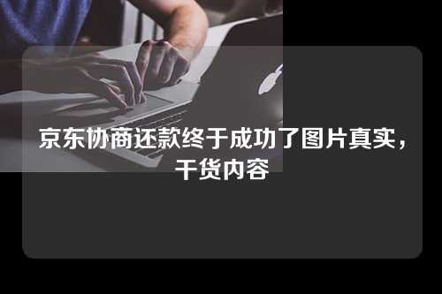 京东协商还款终于成功了图片真实，干货内容