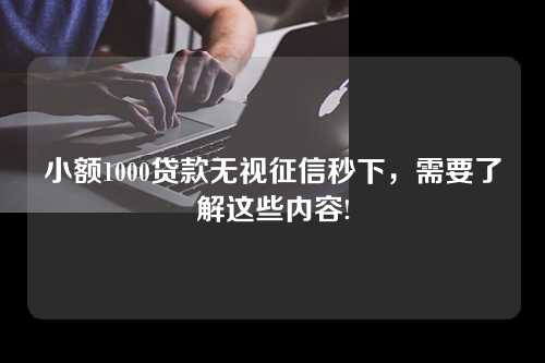 小额1000贷款无视征信秒下，需要了解这些内容!