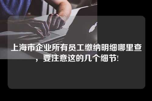 上海市企业所有员工缴纳明细哪里查，要注意这的几个细节!