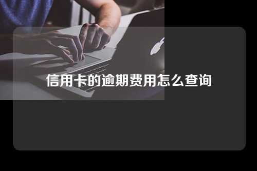 信用卡的逾期费用怎么查询