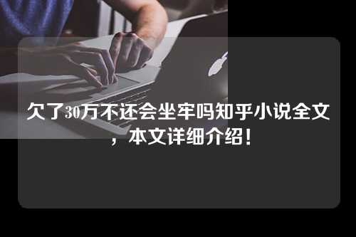 欠了30万不还会坐牢吗知乎小说全文，本文详细介绍！