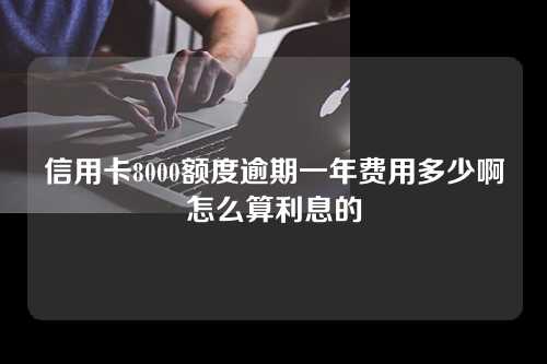 信用卡8000额度逾期一年费用多少啊怎么算利息的