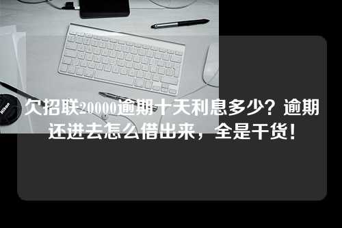 欠招联20000逾期十天利息多少？逾期还进去怎么借出来，全是干货！