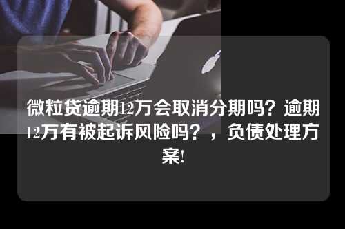 微粒贷逾期12万会取消分期吗？逾期12万有被起诉风险吗？，负债处理方案!