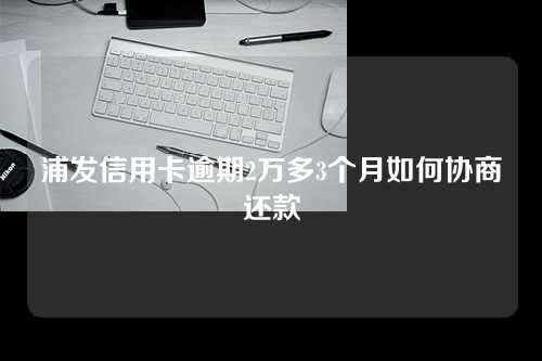 浦发信用卡逾期2万多3个月如何协商还款