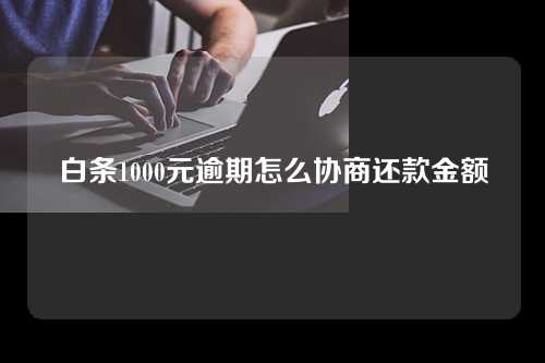 白条1000元逾期怎么协商还款金额