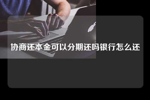 协商还本金可以分期还吗银行怎么还