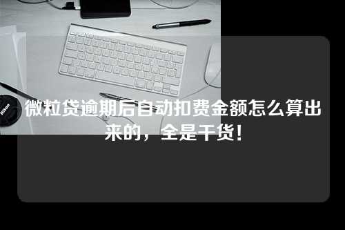 微粒贷逾期后自动扣费金额怎么算出来的，全是干货！