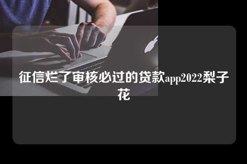 征信烂了审核必过的贷款app2022梨子花