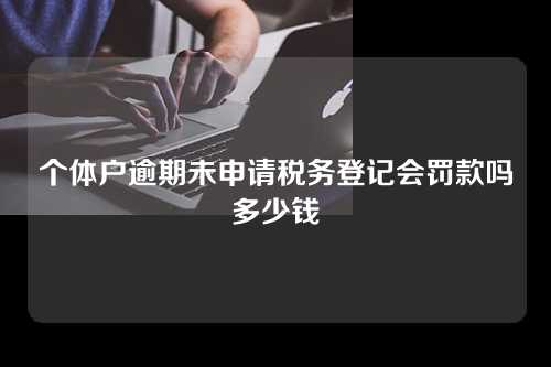 个体户逾期未申请税务登记会罚款吗多少钱