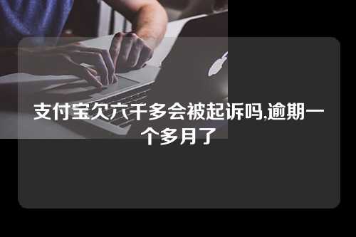 支付宝欠六千多会被起诉吗,逾期一个多月了