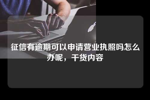 征信有逾期可以申请营业执照吗怎么办呢，干货内容