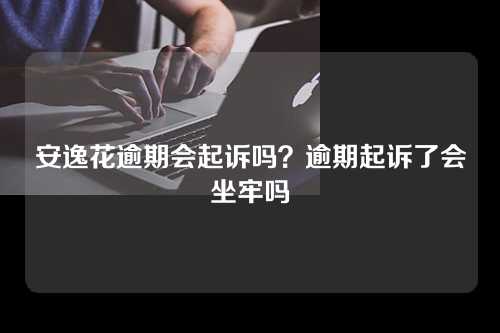 安逸花逾期会起诉吗？逾期起诉了会坐牢吗