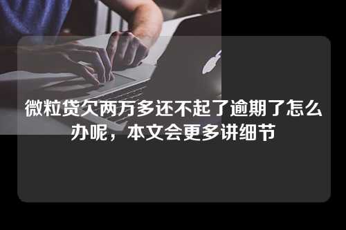 微粒贷欠两万多还不起了逾期了怎么办呢，本文会更多讲细节