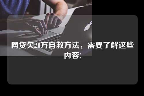 网贷欠20万自救方法，需要了解这些内容!