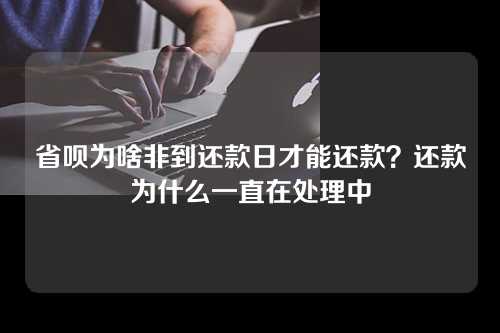 省呗为啥非到还款日才能还款？还款为什么一直在处理中