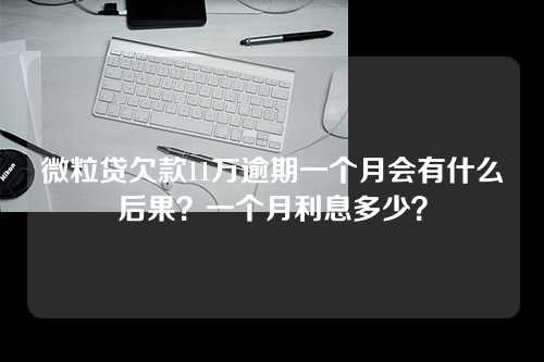 微粒贷欠款11万逾期一个月会有什么后果？一个月利息多少？