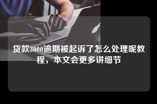 贷款3000逾期被起诉了怎么处理呢教程，本文会更多讲细节