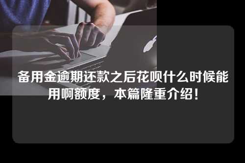 备用金逾期还款之后花呗什么时候能用啊额度，本篇隆重介绍！