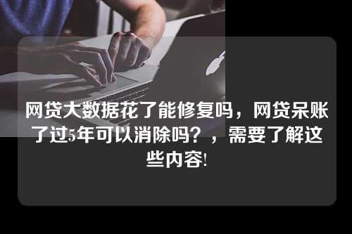 网贷大数据花了能修复吗，网贷呆账了过5年可以消除吗？，需要了解这些内容!