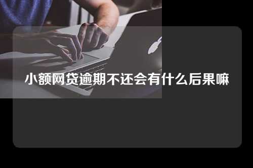 小额网贷逾期不还会有什么后果嘛