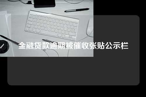 金融贷款逾期被催收张贴公示栏