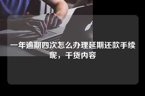 一年逾期四次怎么办理延期还款手续呢，干货内容