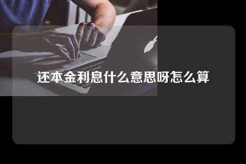 还本金利息什么意思呀怎么算