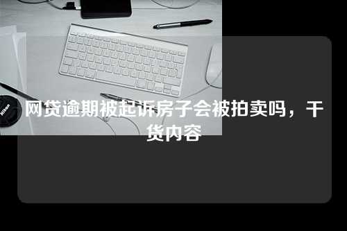 网贷逾期被起诉房子会被拍卖吗，干货内容