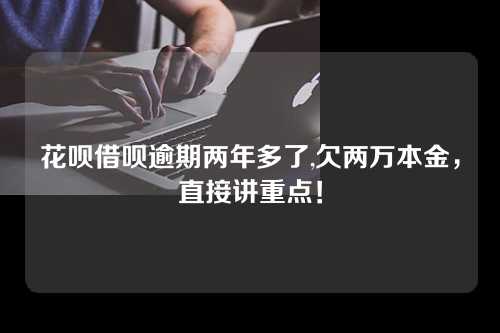 花呗借呗逾期两年多了,欠两万本金，直接讲重点！