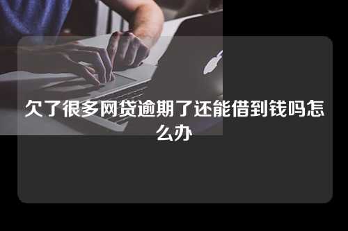 欠了很多网贷逾期了还能借到钱吗怎么办